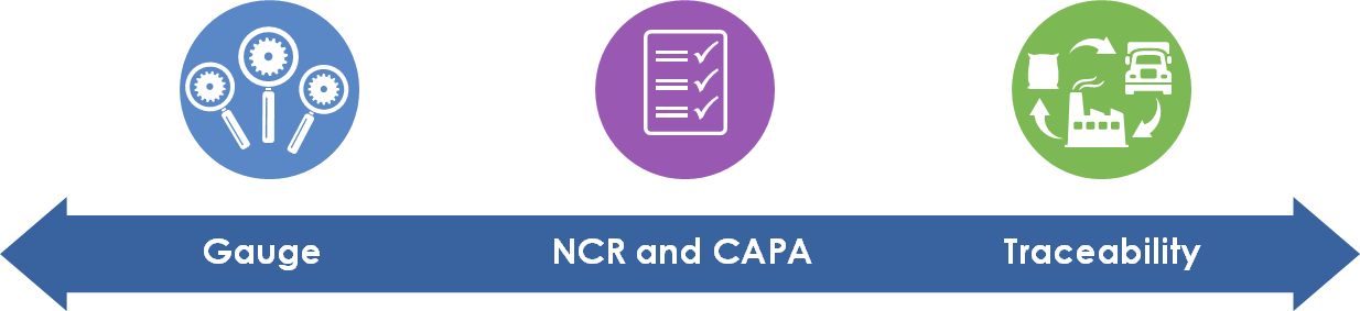 Gauge measurement management model